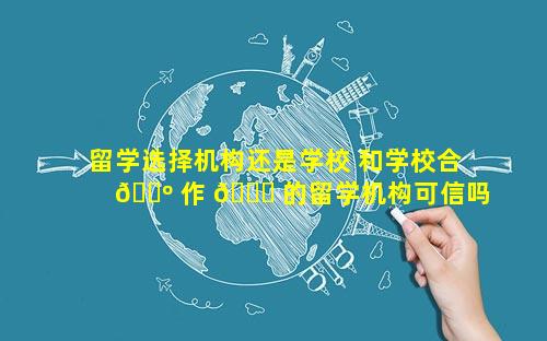 留学选择机构还是学校 和学校合 🌺 作 🐕 的留学机构可信吗